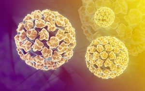 Virus HPV - nguyên nhân gây bệnh ung thư cổ tử cung