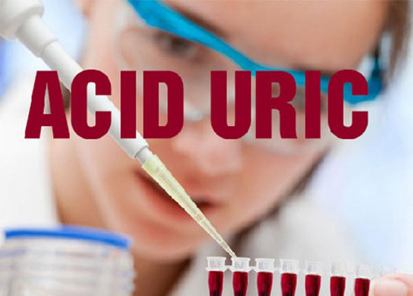 Khi nào thì hàm lượng acid uric trong máu được gọi là cao?